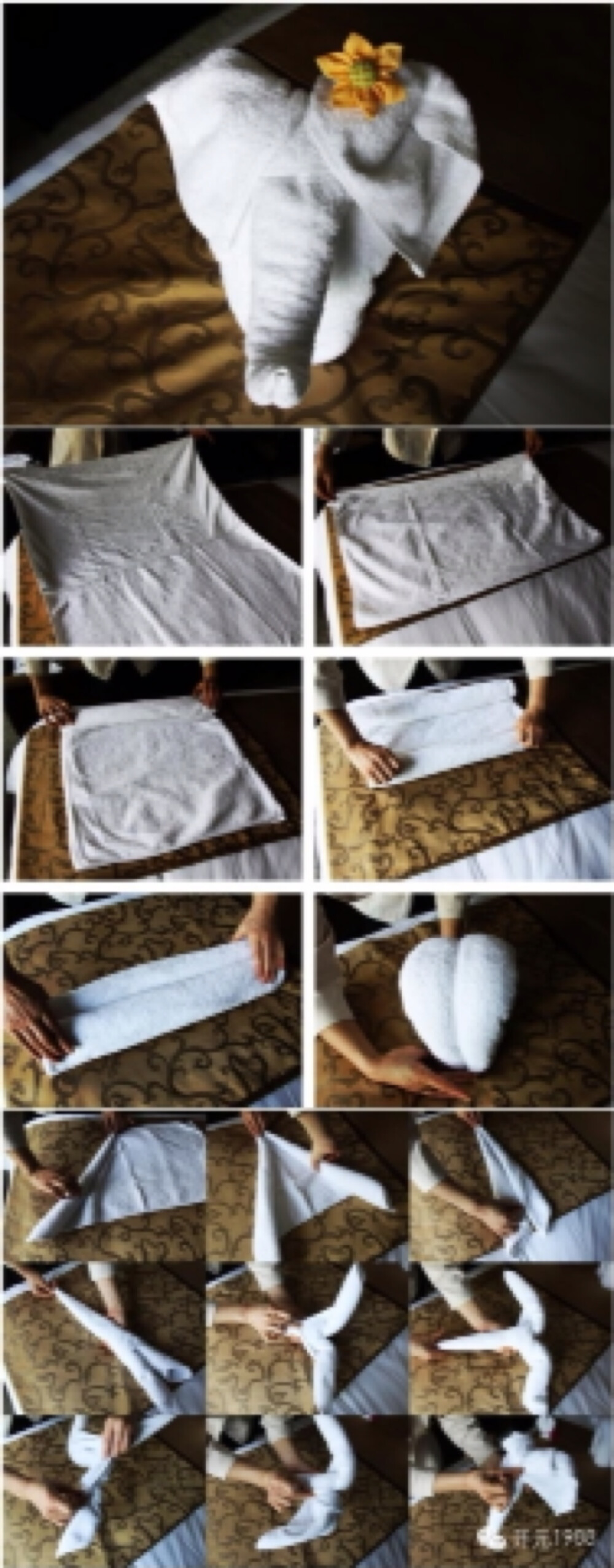 毛巾折叠大象步骤图片