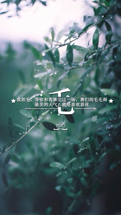 姓氏壁纸