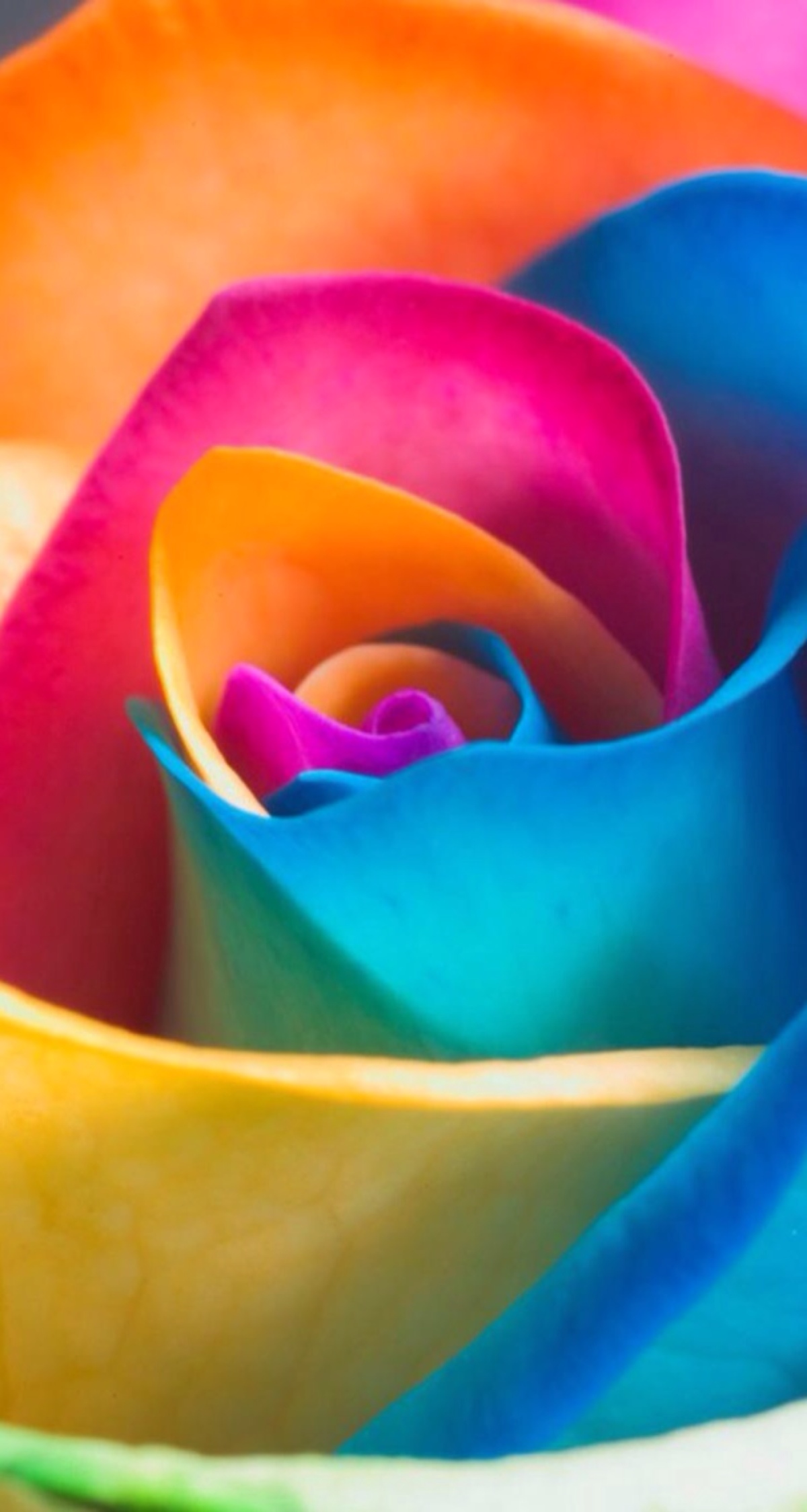 幻彩 色彩 壁纸 iphone5 缤纷