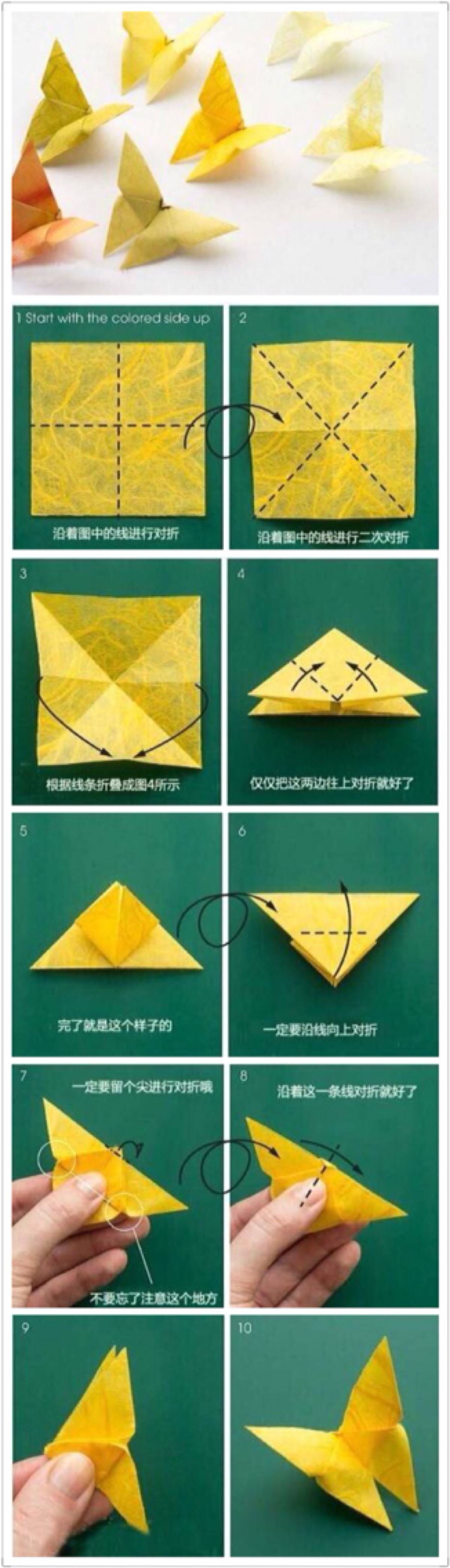 折纸大全 步骤蝴蝶图片