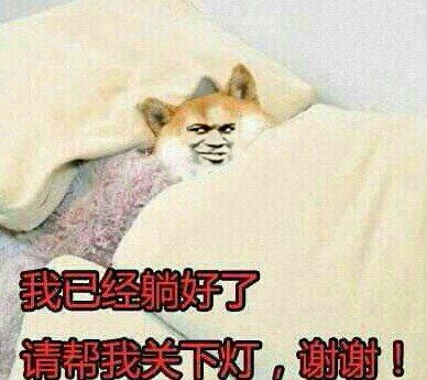 金馆长表情