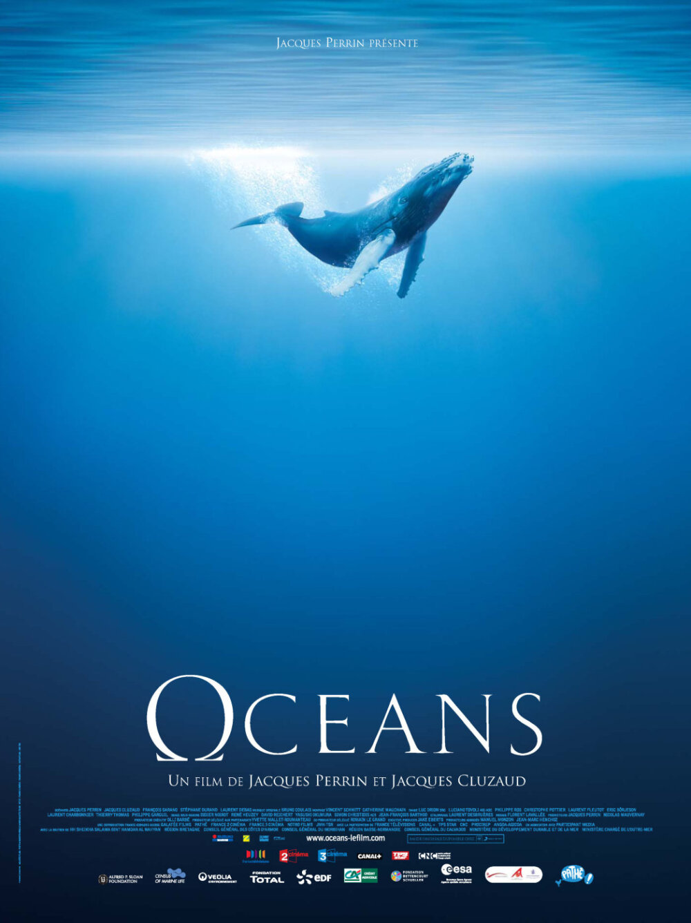 《海洋》海洋是什么?这部电影告诉你答案