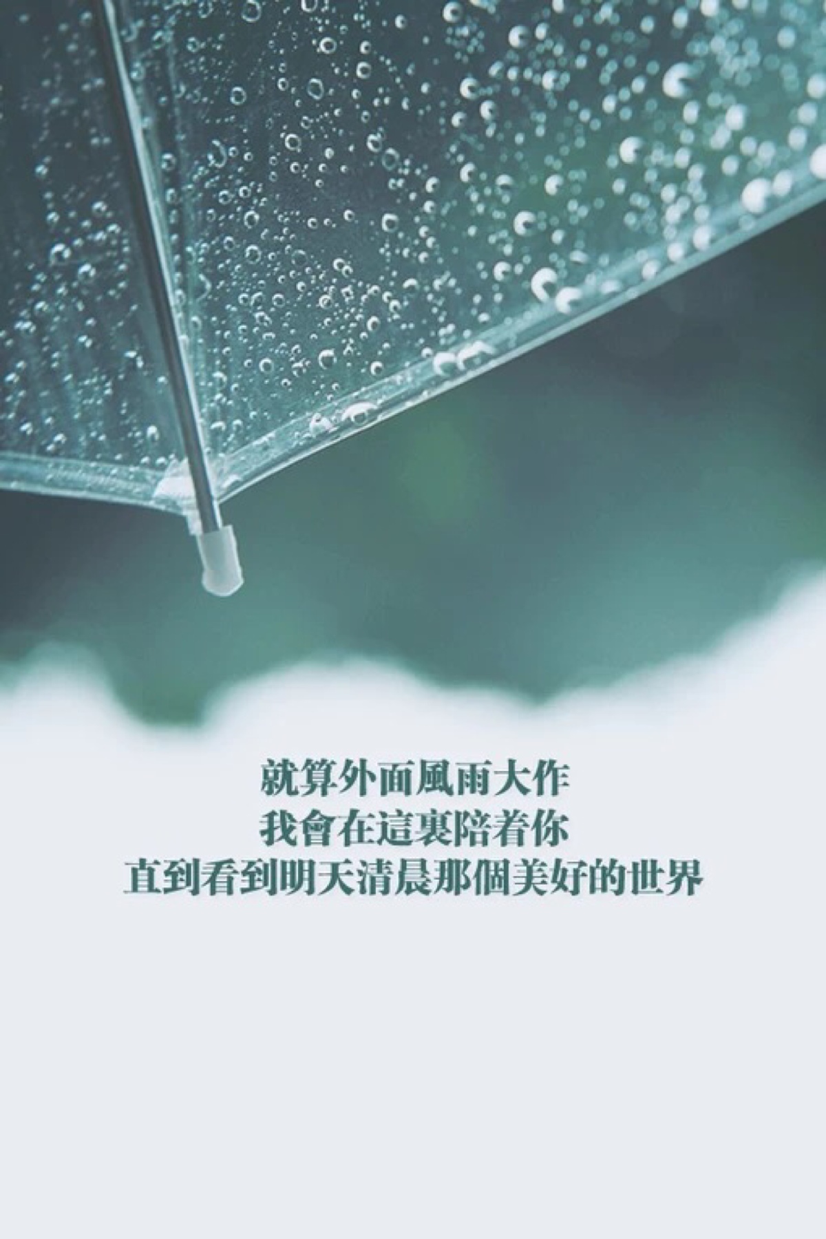 治愈系文字 就算外面风雨大作 我会在这里陪着你 直到看到明天清晨