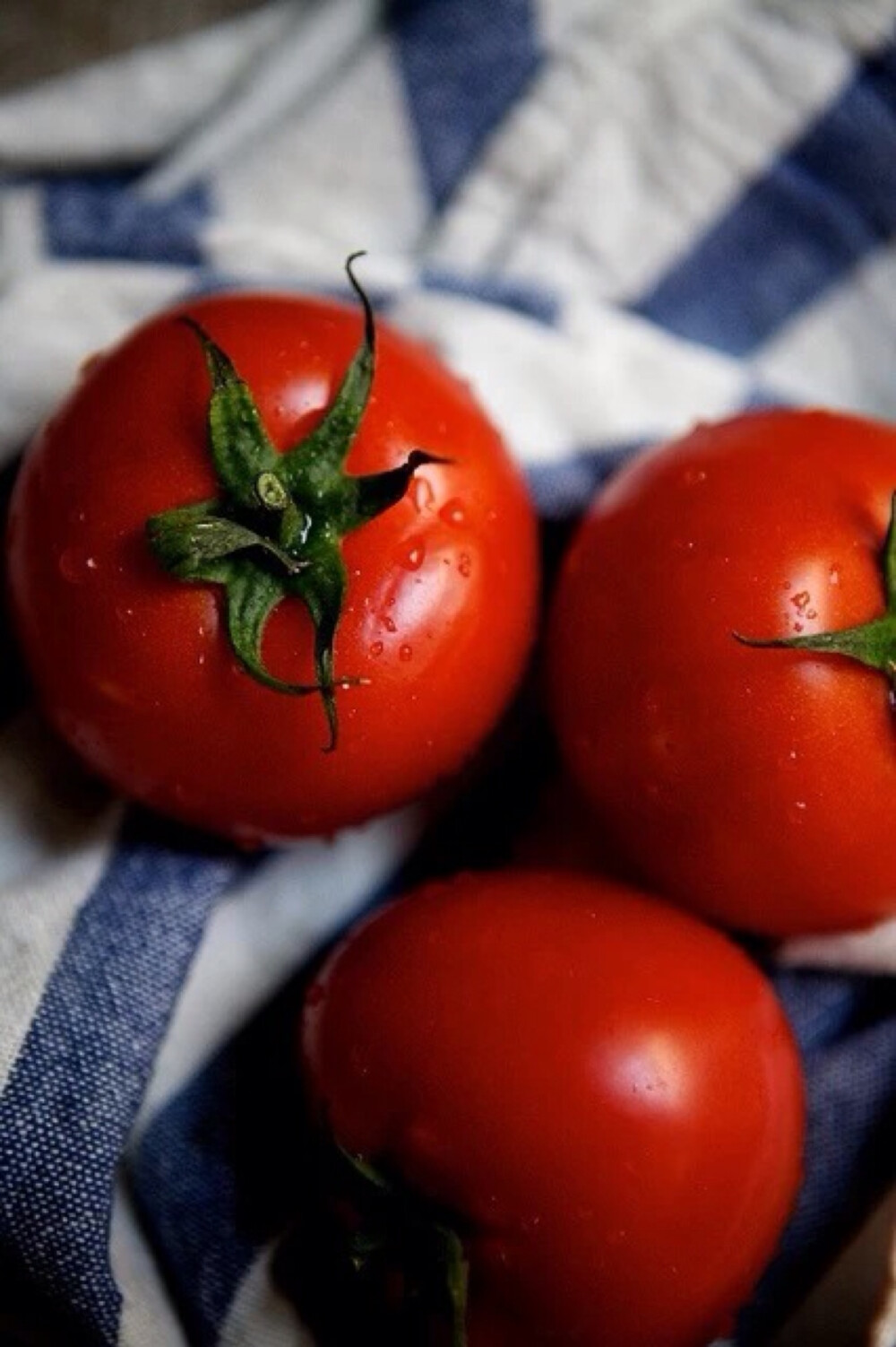 食物文艺西红柿