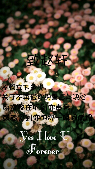 我依然爱你