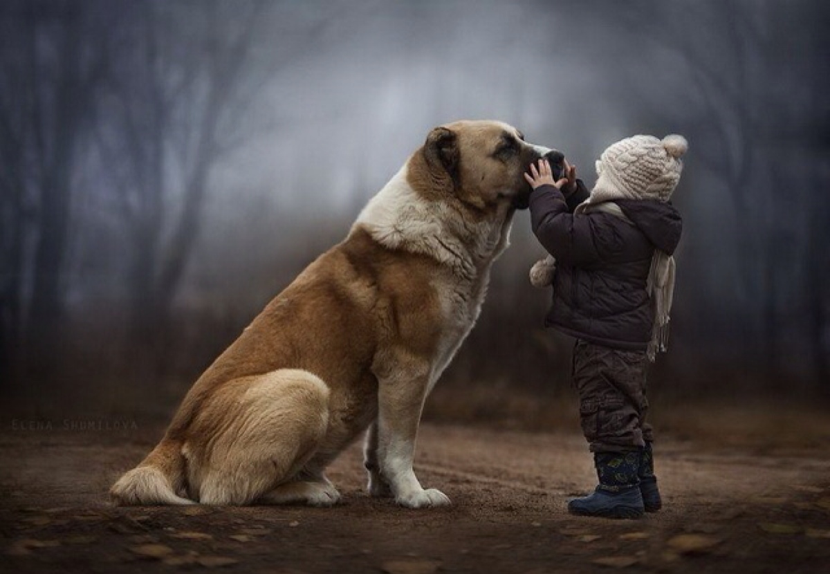 女摄影师elena shumilova记录下两个儿子和农场里小动物相处的有爱