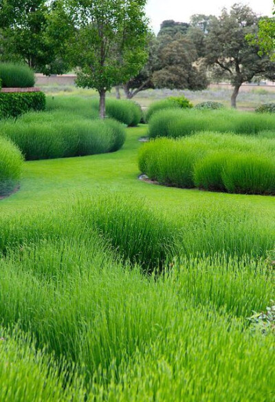 婚纱,意境 - 堆糖,美图壁纸兴趣社区