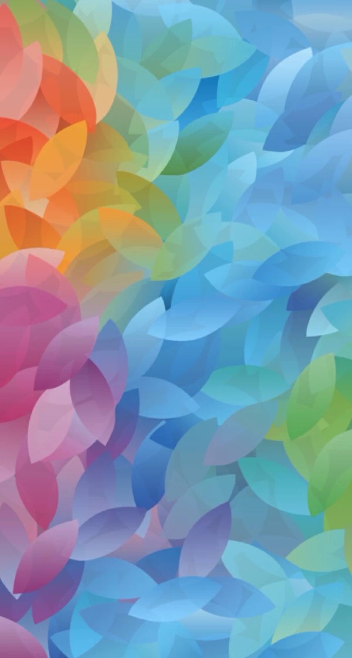 1200_2244竖版 竖屏