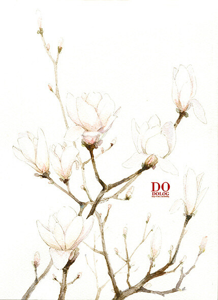 花草,水墨,封面,淡雅,唯美,插画,古风