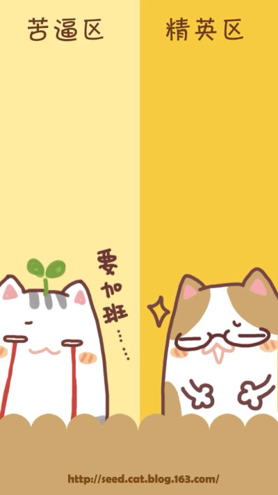 原创壁纸 聊天背景 种子猫 萌 微信公众号@种子猫物语 新浪微博@seed