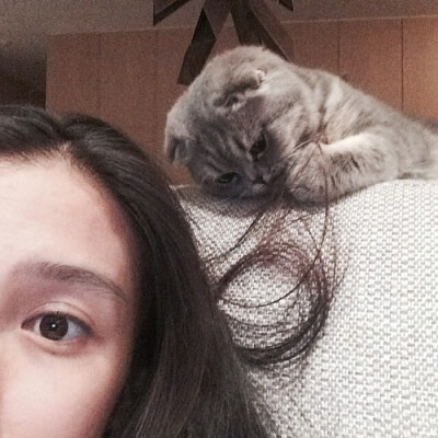 发布到  她和猫 图片评论 0条  收集   点赞  评论  情侣头像:d 女生