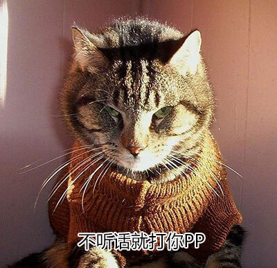 小猫猫,2b,表情包,不听话就打pp