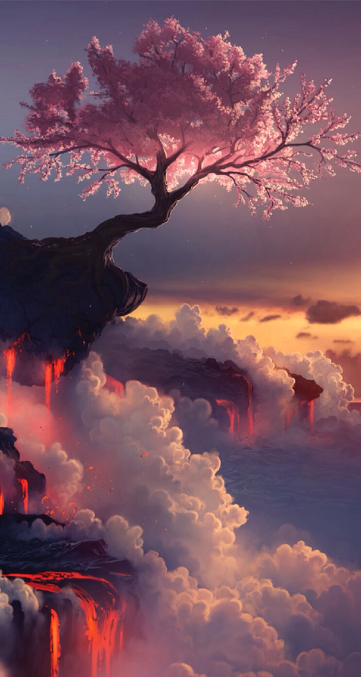 火山 樱花树 感觉很神奇啊