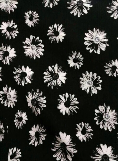 小雏菊壁纸高清黑色图片