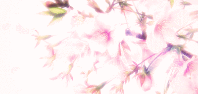0 213 月缠缠呐  发布到  桜の花粉 图片评论 0条  收集   点赞