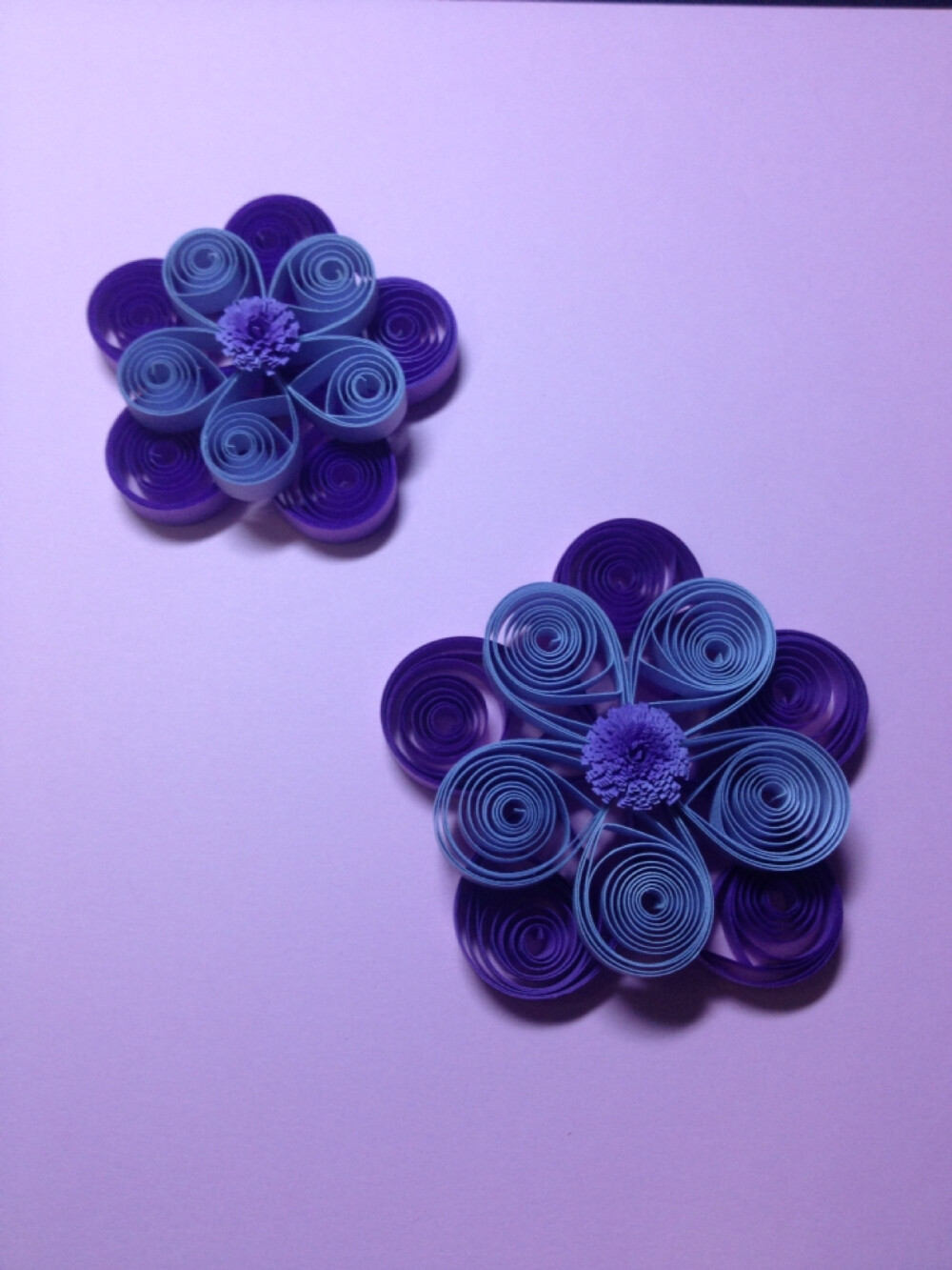 初学衍纸,刚做好的两朵花