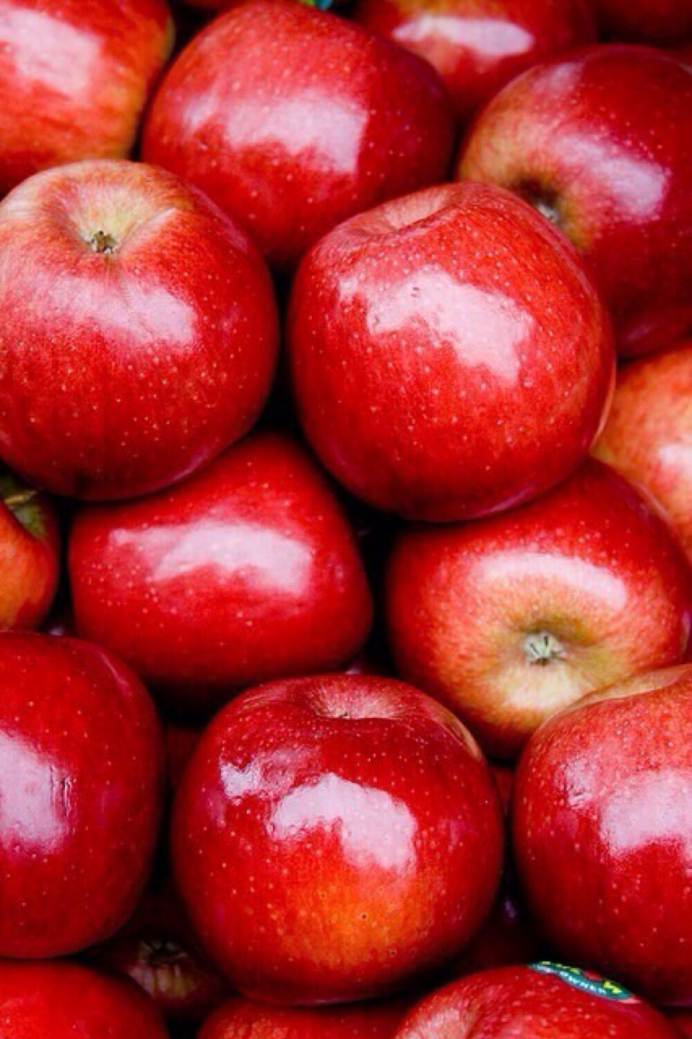 食物文艺苹果