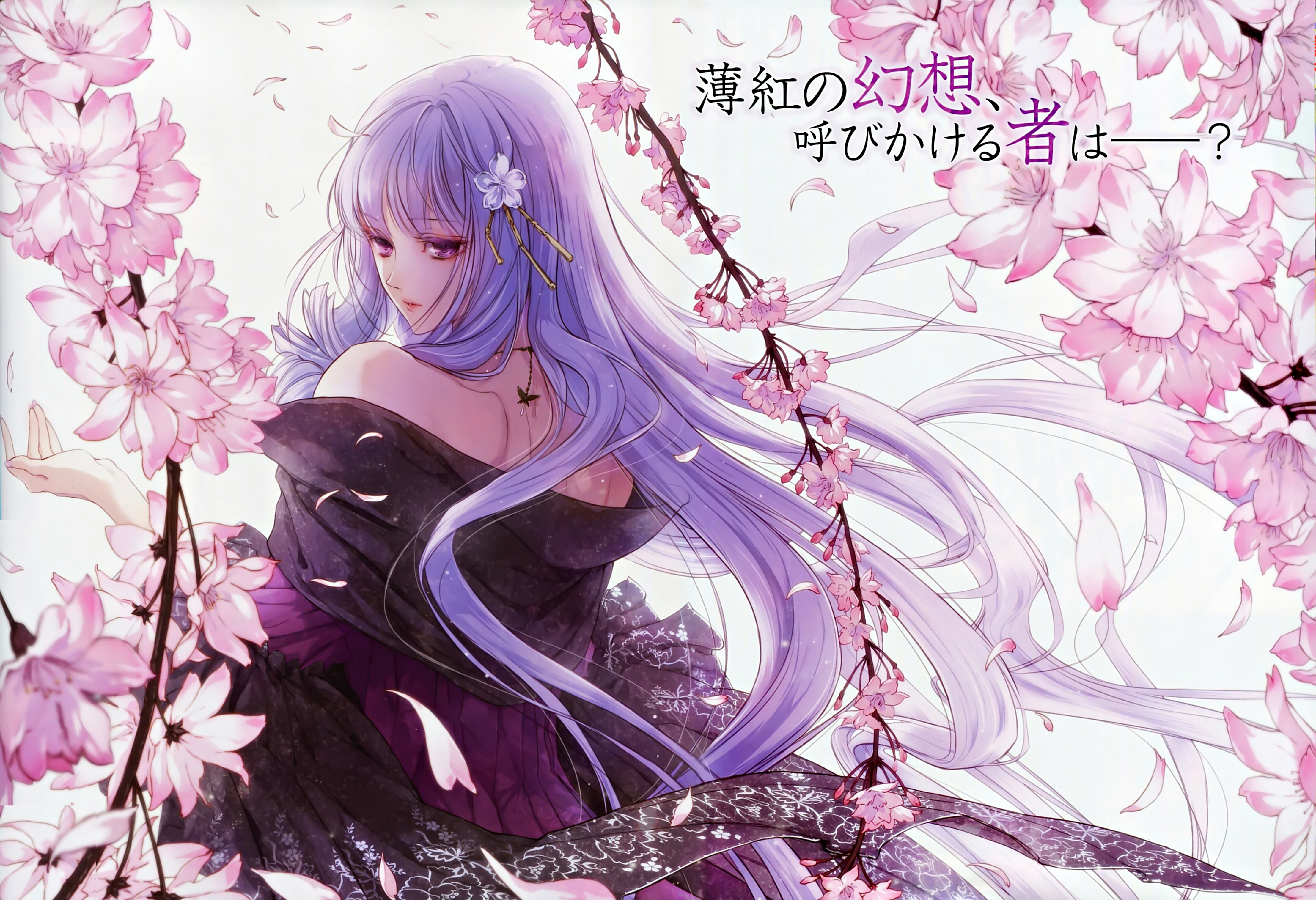 reine des fleurs 花之女王 violette ヴァイオレット 壁纸