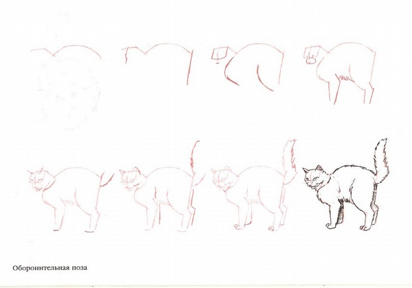 mur猫画法图片