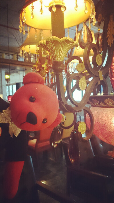 漫咖啡小熊饲养员日记02