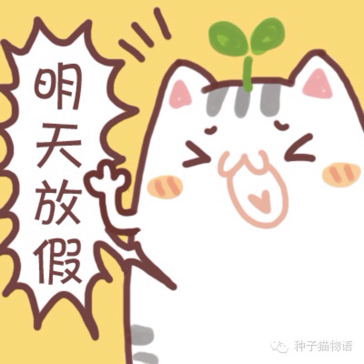 2015年3月5日 18:37   关注  表情 搞笑 头像 文字头像 种子猫 评论