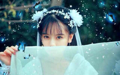 南笙