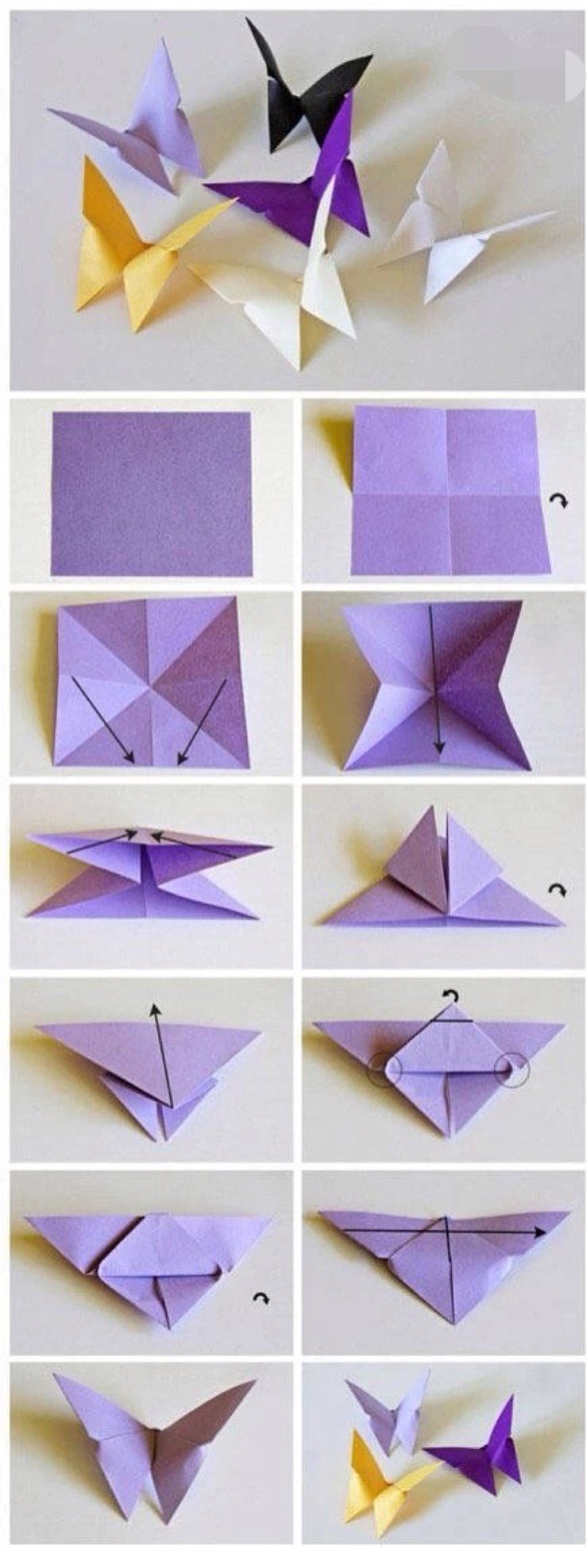 50种蝴蝶折法简单图片图片