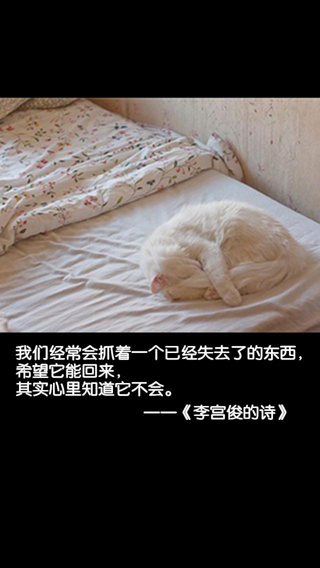 李宫俊的诗图片版,三行情书图片,三行情诗,三行诗,文字控图片