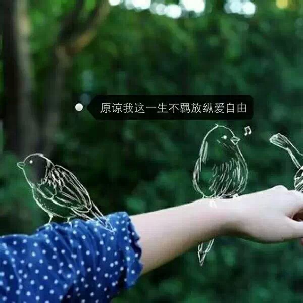 原谅我这一生放荡不羁爱自由