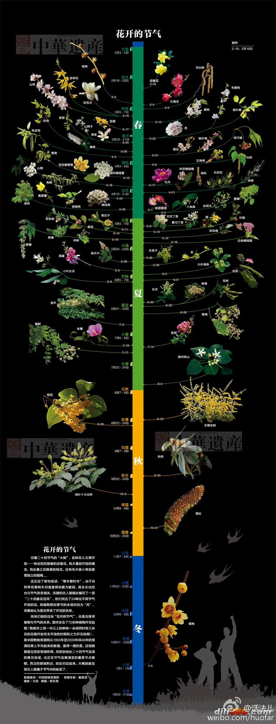 仙人掌开花时间图片