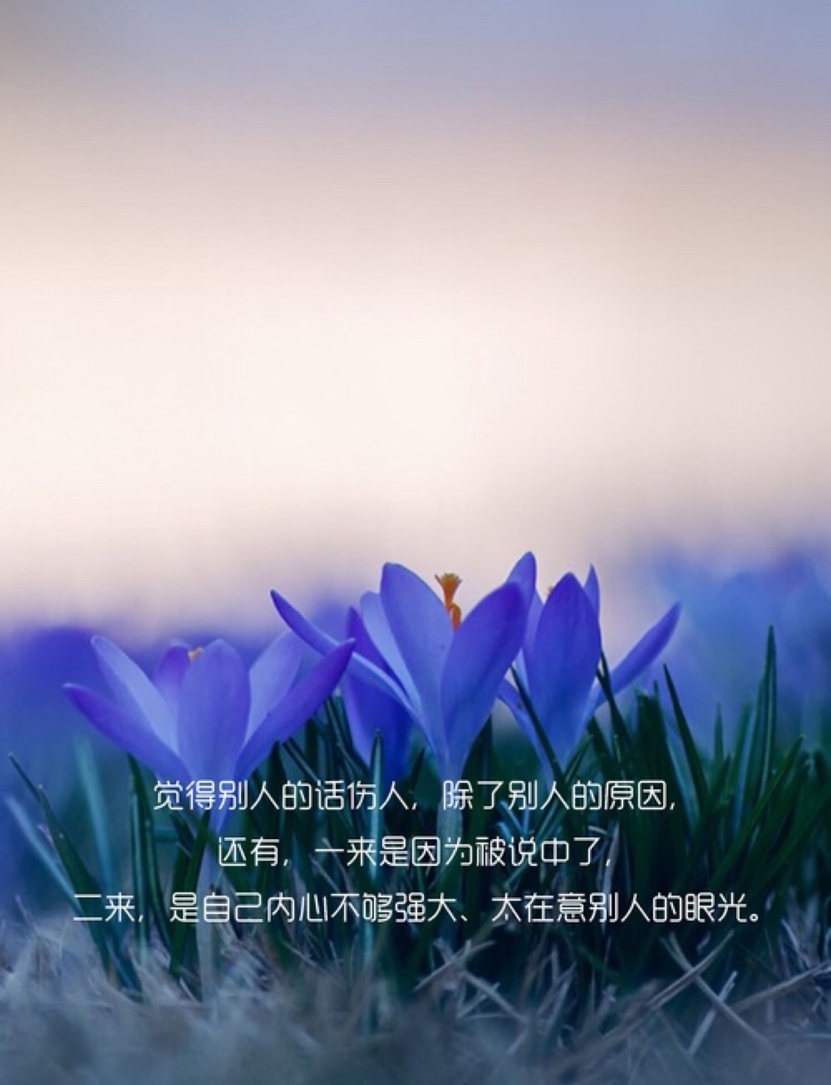 1200_1567竖版 竖屏