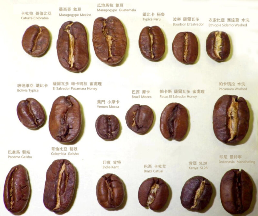 星巴克咖啡豆种类13种图片
