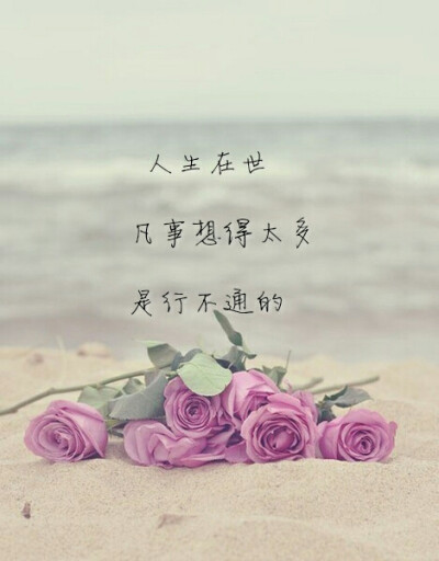 我现在只想搞钱