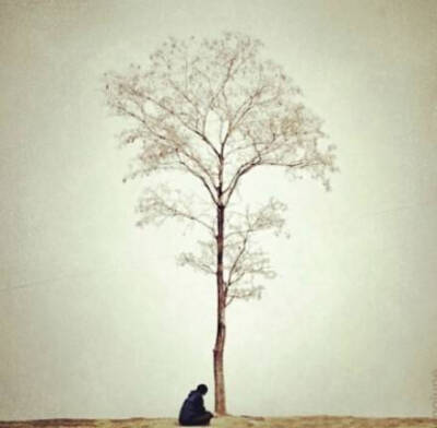 一棵树一个人孤单图片图片