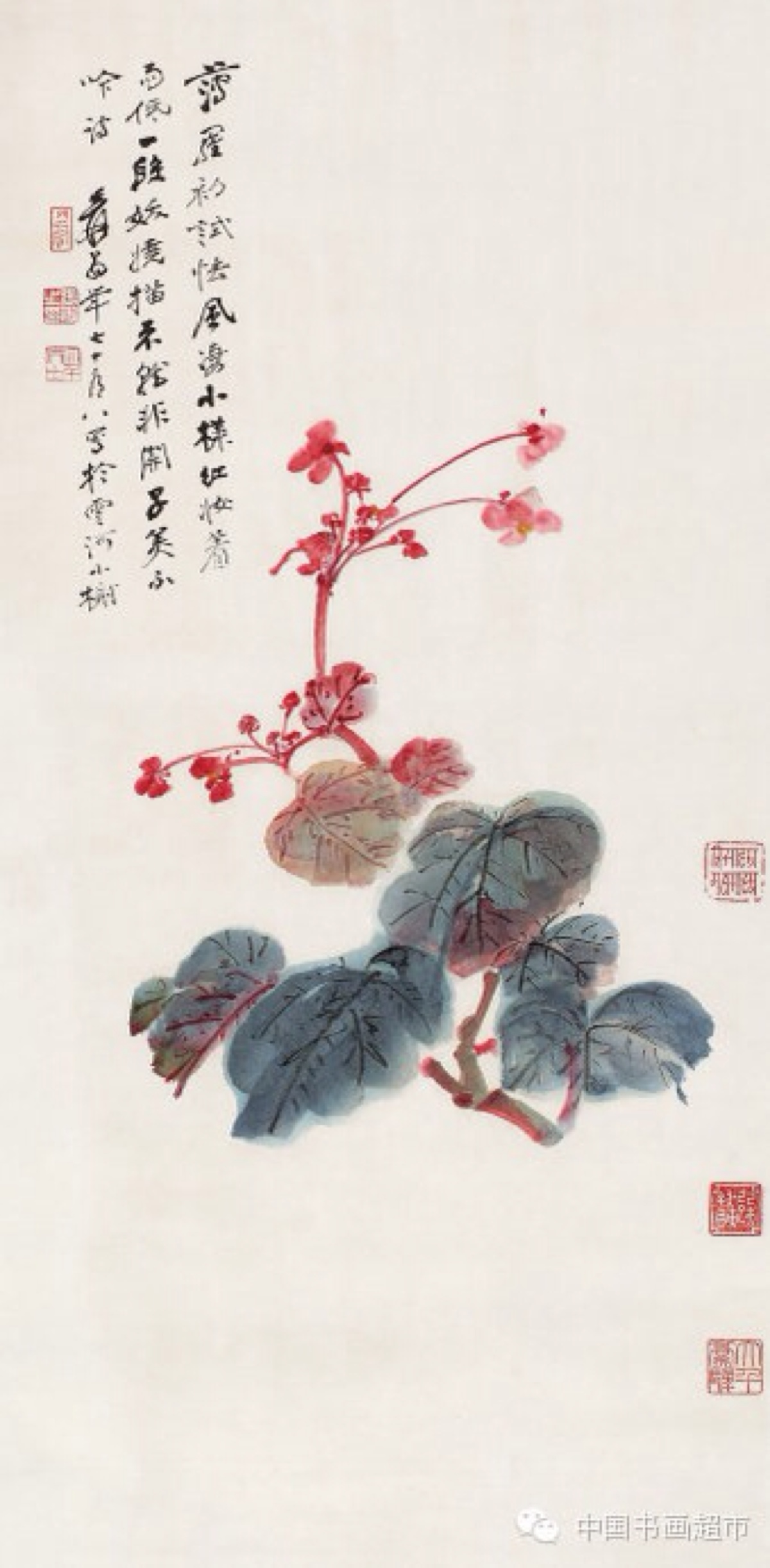 张大千花鸟100幅,珍贵!