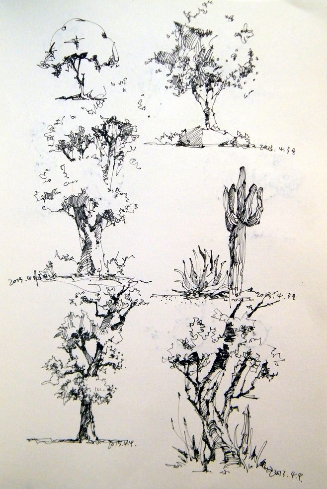 素描树的画法步骤图片