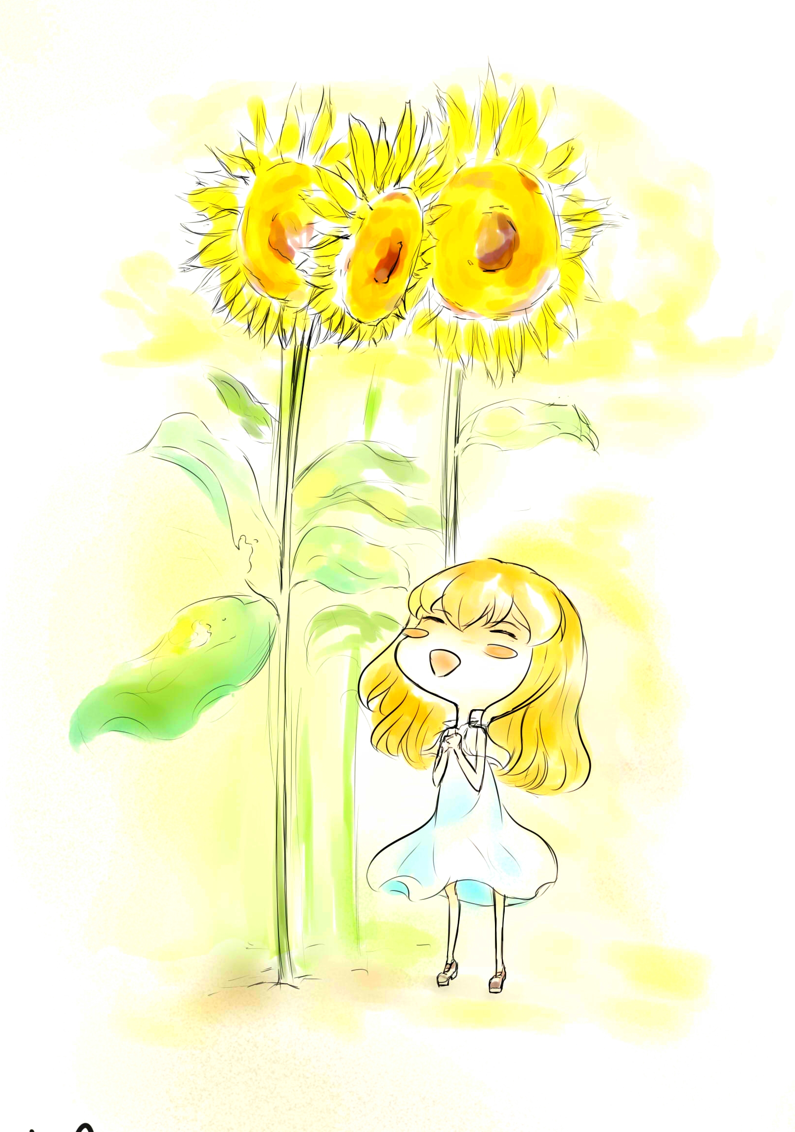 向日葵