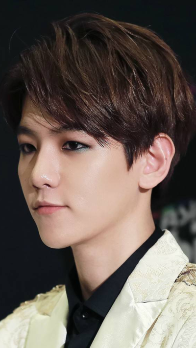 exo 边伯贤 明星 美男