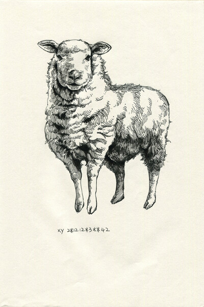 线描画羊图片
