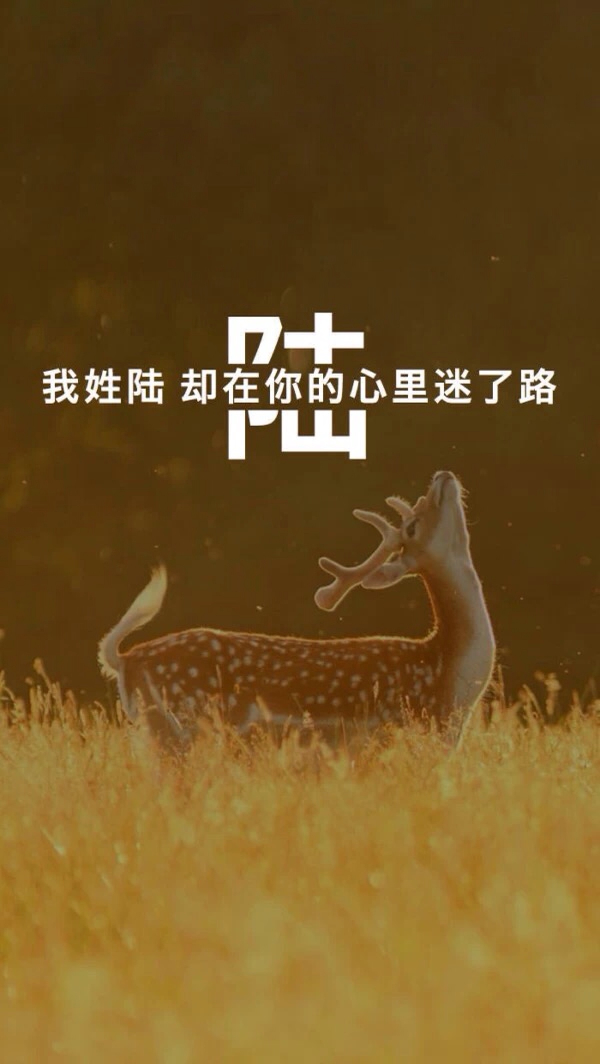 陆字壁纸 头像图片