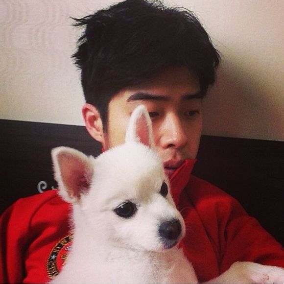 关注  头像 男头 男生头像 评论 收藏