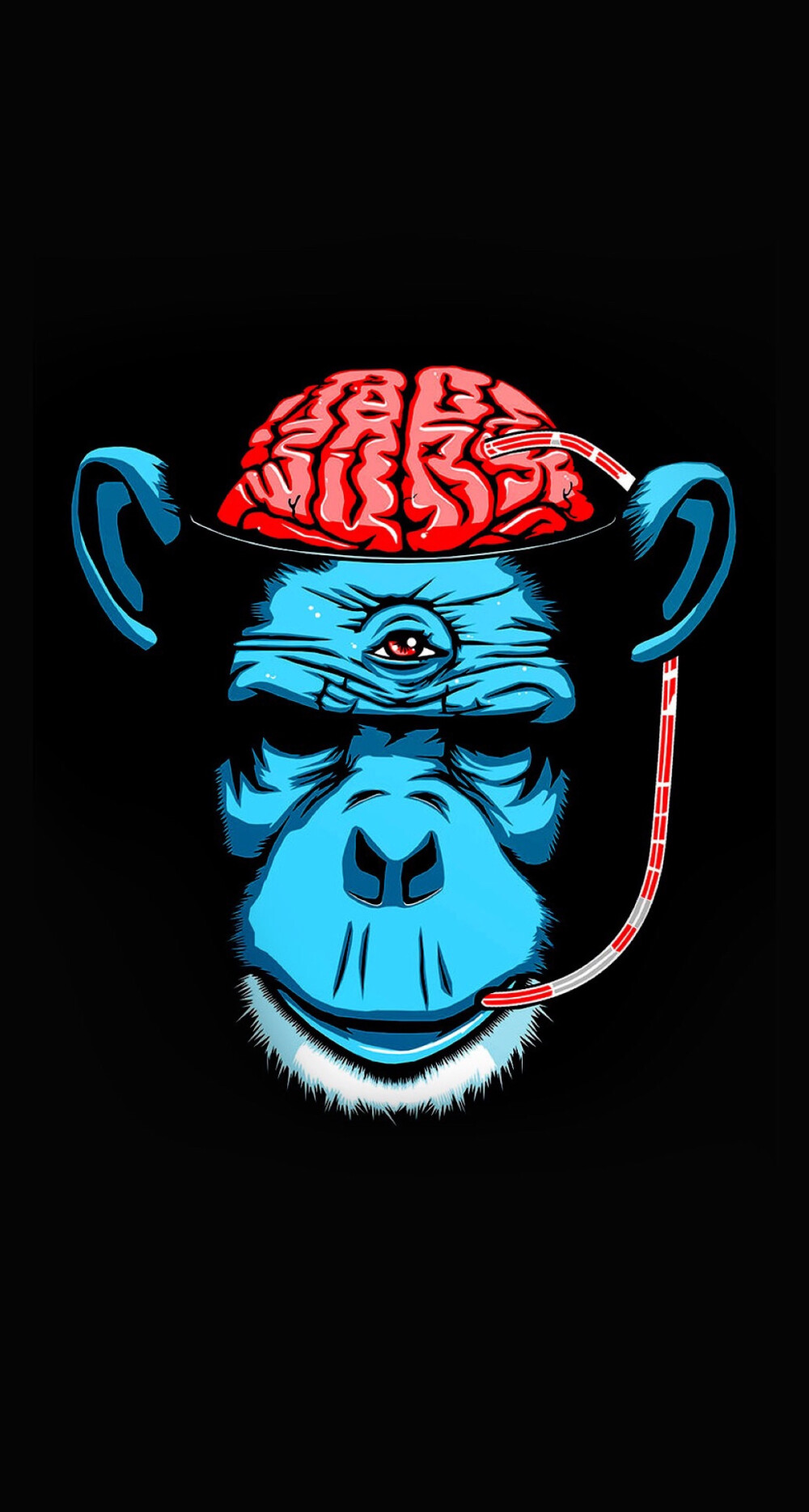 猩猩- 堆糖,美图壁纸兴趣社区