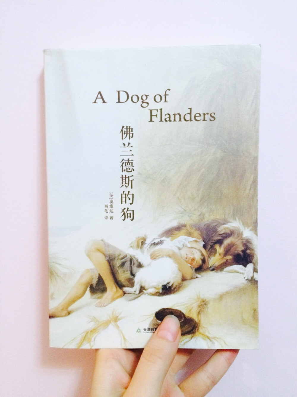 弗兰德斯的狗.