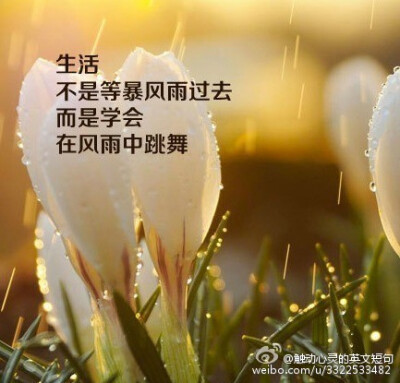 幸福很简单,不要跟别人比较就好了.