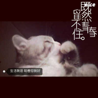 既然青春留不住
