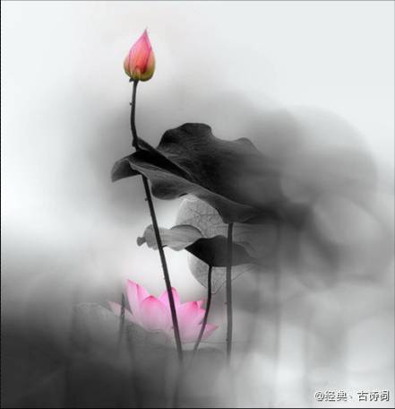 笑着面对,不去埋怨.悠然,随心,随性,怂嬖 .