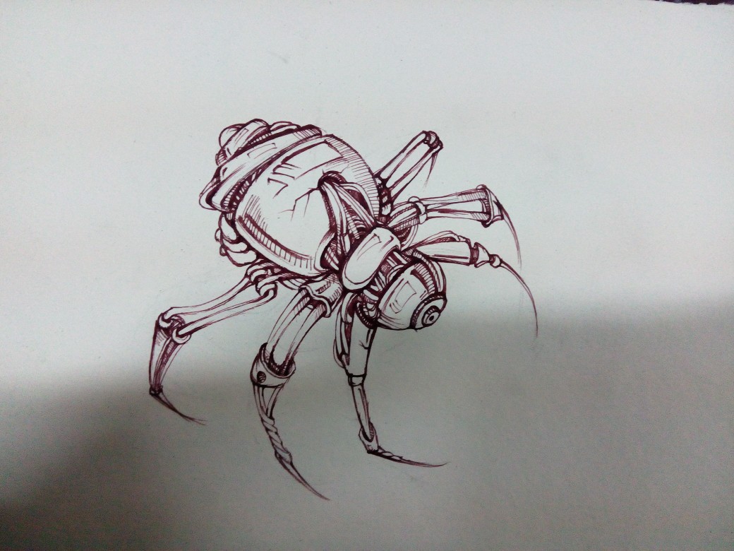 线描 蜘蛛 插画