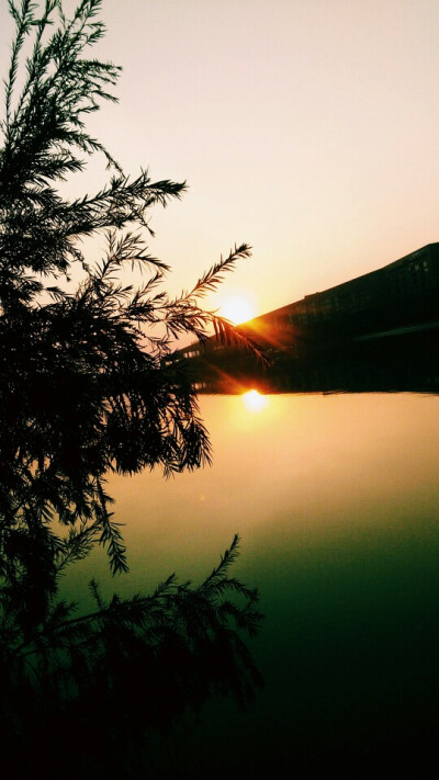 QQ背景夕阳图片