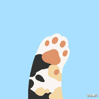 猫爪