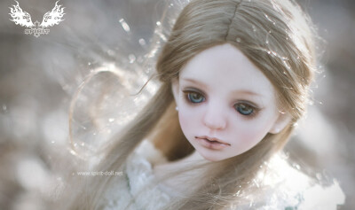 鬼契spiritdoll-alice bjd娃娃 日本 sd娃娃 玩具 人偶 人形